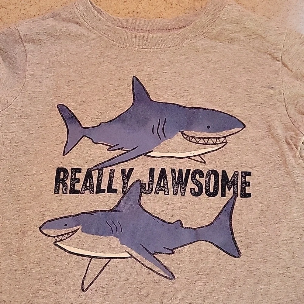 Carter's Gray Really Jawome Shark Graphic Long Sleeve Tee Size 3T